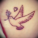 photo tattoo pigeon 03.03.2019 №354 - idea for drawing pigeon tattoo - tattoovalue.net