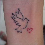 photo tattoo pigeon 03.03.2019 №358 - idea for drawing pigeon tattoo - tattoovalue.net