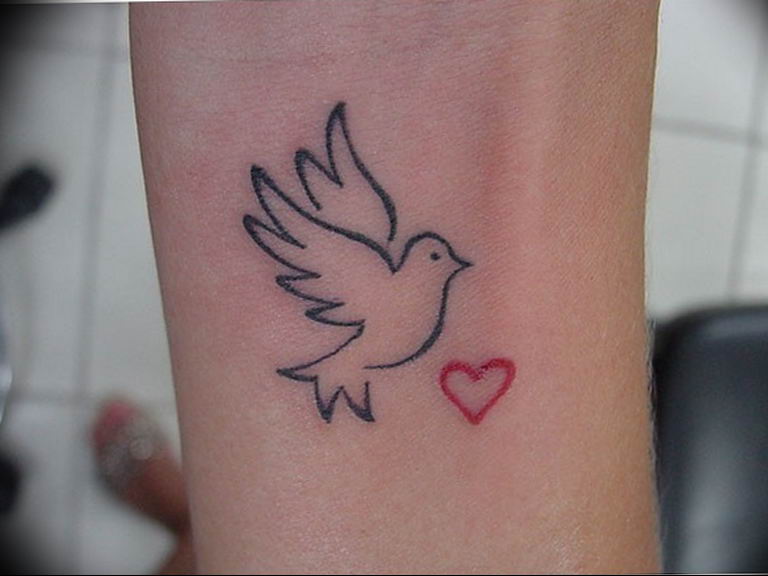photo tattoo pigeon 03.03.2019 №358 - idea for drawing pigeon tattoo - tattoovalue.net