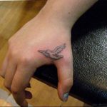 photo tattoo pigeon 03.03.2019 №359 - idea for drawing pigeon tattoo - tattoovalue.net