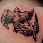 photo tattoo pigeon 03.03.2019 №361 - idea for drawing pigeon tattoo - tattoovalue.net