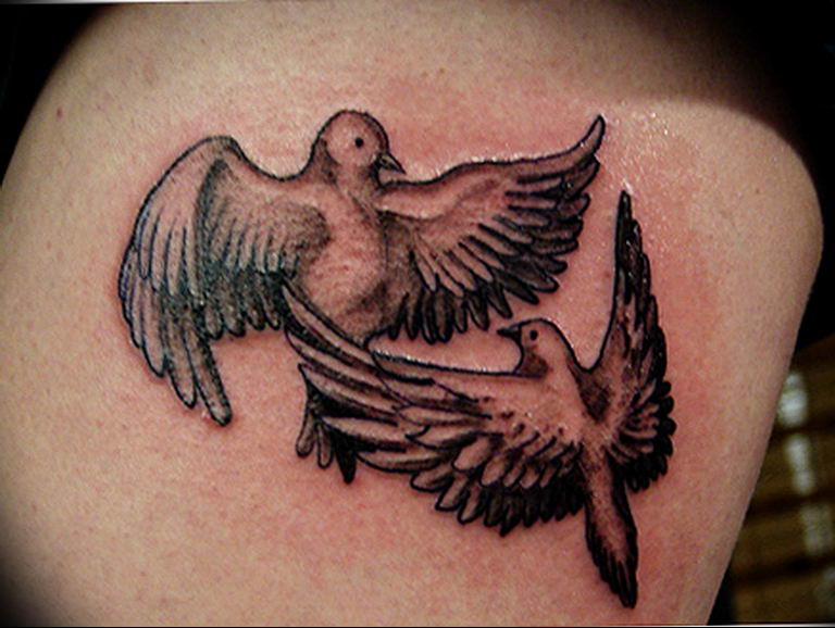 photo tattoo pigeon 03.03.2019 №361 - idea for drawing pigeon tattoo - tattoovalue.net