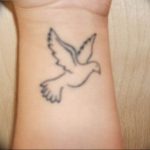 photo tattoo pigeon 03.03.2019 №362 - idea for drawing pigeon tattoo - tattoovalue.net