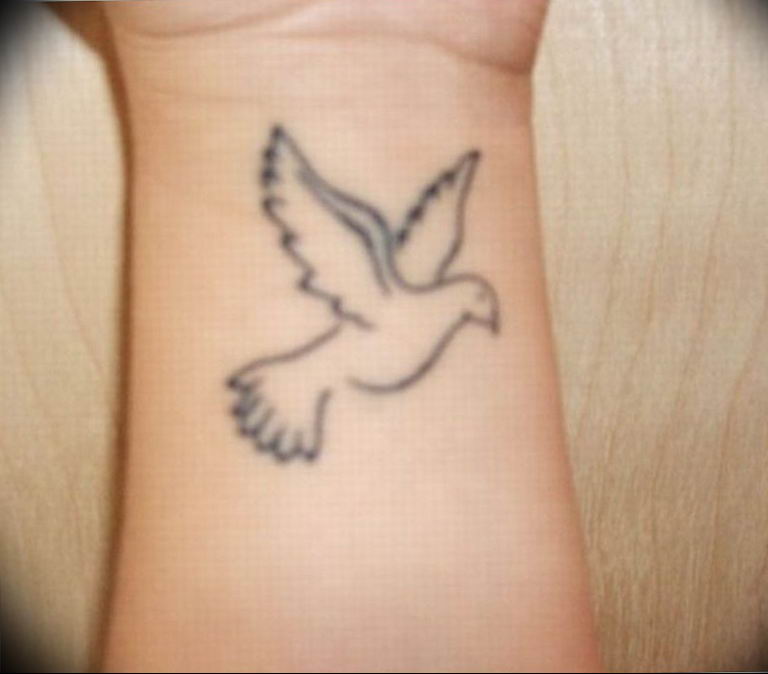 photo tattoo pigeon 03.03.2019 №362 - idea for drawing pigeon tattoo - tattoovalue.net