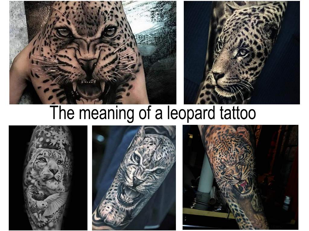 The meaning of a leopard tattoo - information about the features of the tattoo and a collection of photo examples of finished works