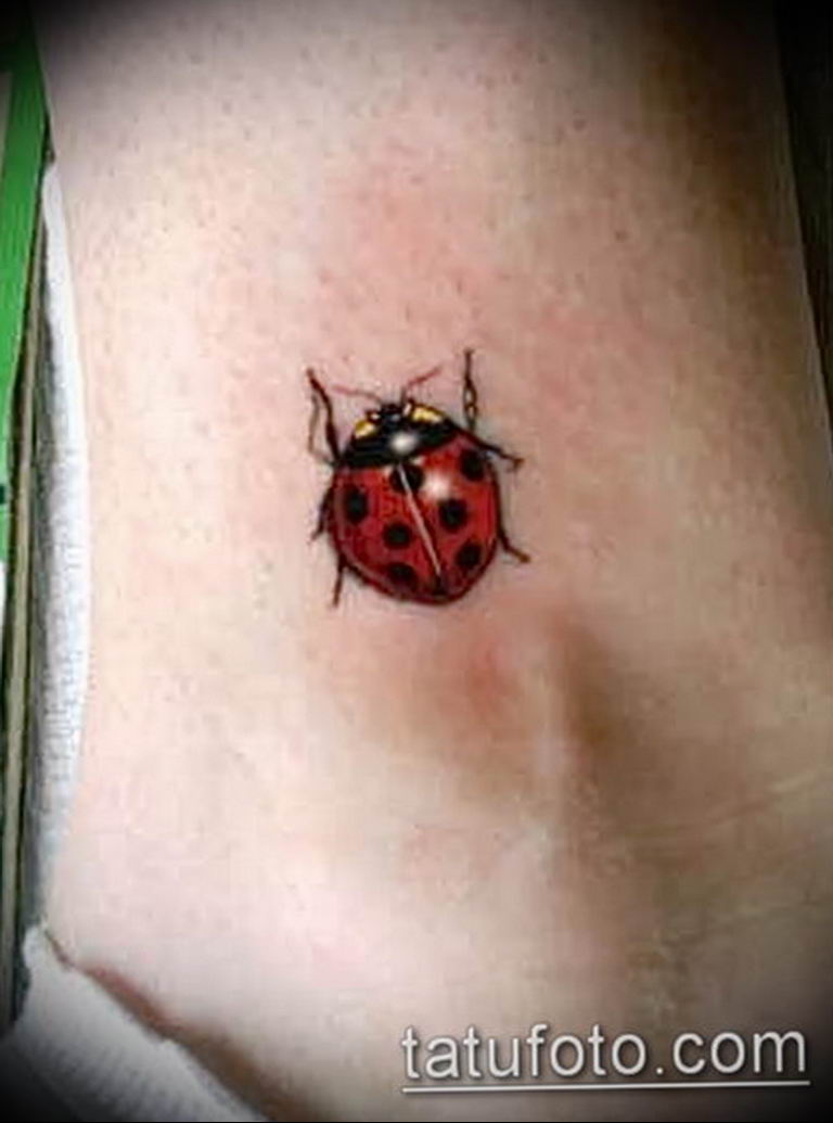 The Meaning of a Ladybird Tattoo: features of the picture, photos of  finished tattoos, sketches