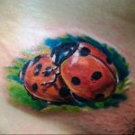  tatuaje fotográfico de mariquita 17.04.2019 №010-idea para tatuaje de mariquita - tattoovalue.net