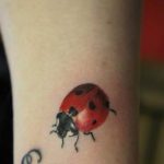 foto de tatuagem de joaninha 17.04.2019 №011 - ideia para tatuagem de joaninha - tattoovalue.net