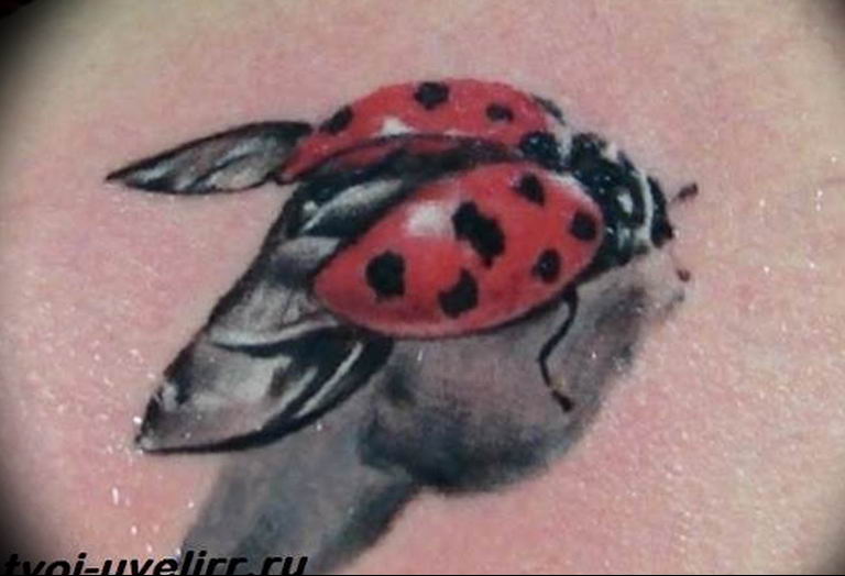 Exotic Tattoos Ladybug Designs Examples with Photos  Design Press