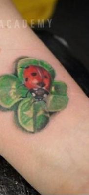 photo ladybug tattoo 17.04.2019 №034 – idea for ladybug tattoo – tattoovalue.net