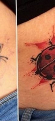 photo ladybug tattoo 17.04.2019 №038 – idea for ladybug tattoo – tattoovalue.net