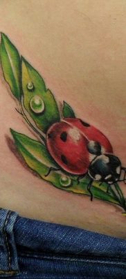 photo ladybug tattoo 17.04.2019 №039 – idea for ladybug tattoo – tattoovalue.net