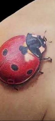 photo ladybug tattoo 17.04.2019 №049 – idea for ladybug tattoo – tattoovalue.net