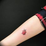 photo ladybug tattoo 17.04.2019 №074 - idea for ladybug tattoo - tattoovalue.net