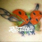photo ladybug tattoo 17.04.2019 №095 - idea for ladybug tattoo - tattoovalue.net