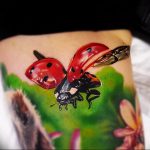 photo ladybug tattoo 17.04.2019 №108 - idea for ladybug tattoo - tattoovalue.net