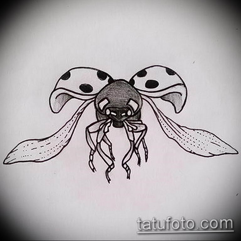photo ladybug tattoo  №136 - idea for ladybug tattoo -   
