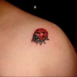 photo ladybug tattoo 17.04.2019 №148 - idea for ladybug tattoo - tattoovalue.net