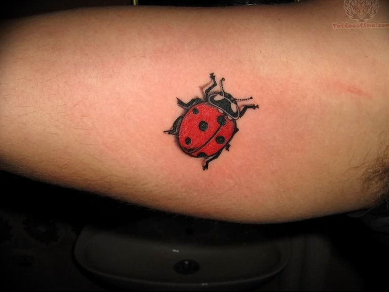 30 Beetle Tattoos with Meanings  Body Art Guru