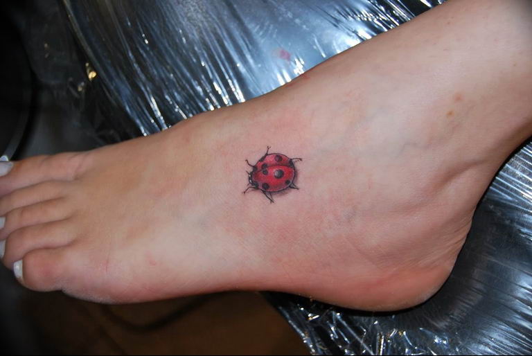 Ladybug tatuaje tatuajes Imágenes por Austen41  Imágenes españoles imágenes