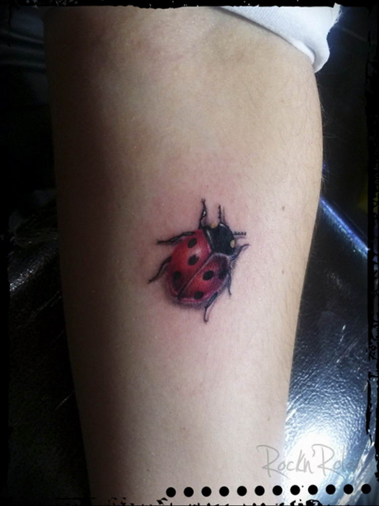 Photo Ladybug Tattoo 17.04.2019 №234 - Idea For Ladybug Tattoo 