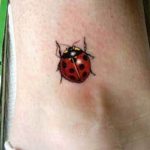 photo ladybug tattoo 17.04.2019 №235 - idea for ladybug tattoo - tattoovalue.net