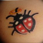 photo ladybug tattoo 17.04.2019 №266 - idea for ladybug tattoo - tattoovalue.net