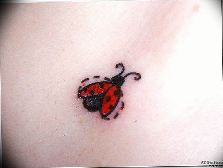 Ladybird Temporary Tattoo  Set of 3  Little Tattoos