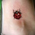 photo ladybug tattoo 17.04.2019 №003 - idea for ladybug tattoo - tattoovalue.net