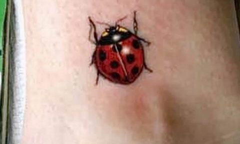 photo ladybug tattoo 17.04.2019 №003 - idea for ladybug tattoo - tattoovalue.net