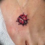 photo ladybug tattoo 17.04.2019 №004 - idea for ladybug tattoo - tattoovalue.net
