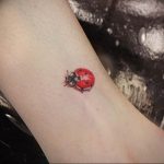 photo ladybug tattoo 17.04.2019 №005 - idea for ladybug tattoo - tattoovalue.net