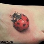 photo ladybug tattoo 17.04.2019 №007 - idea for ladybug tattoo - tattoovalue.net