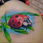 photo ladybug tattoo 17.04.2019 №009 - idea for ladybug tattoo - tattoovalue.net
