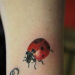 photo ladybug tattoo 17.04.2019 №011 - idea for ladybug tattoo - tattoovalue.net