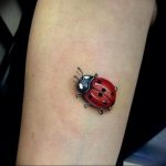 photo ladybug tattoo 17.04.2019 №012 - idea for ladybug tattoo - tattoovalue.net