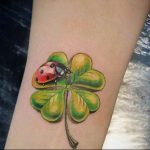 photo ladybug tattoo 17.04.2019 №014 - idea for ladybug tattoo - tattoovalue.net