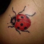 photo ladybug tattoo 17.04.2019 №015 - idea for ladybug tattoo - tattoovalue.net