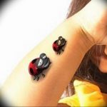 photo ladybug tattoo 17.04.2019 №016 - idea for ladybug tattoo - tattoovalue.net