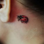 photo ladybug tattoo 17.04.2019 №017 - idea for ladybug tattoo - tattoovalue.net