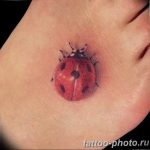 photo ladybug tattoo 17.04.2019 №021 - idea for ladybug tattoo - tattoovalue.net
