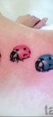 photo ladybug tattoo 17.04.2019 №024 – idea for ladybug tattoo – tattoovalue.net
