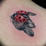 photo ladybug tattoo 17.04.2019 №025 - idea for ladybug tattoo - tattoovalue.net