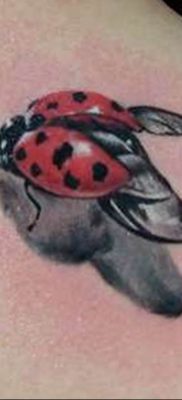 photo ladybug tattoo 17.04.2019 №025 – idea for ladybug tattoo – tattoovalue.net
