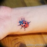 photo ladybug tattoo 17.04.2019 №026 - idea for ladybug tattoo - tattoovalue.net