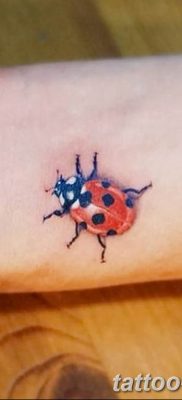 photo ladybug tattoo 17.04.2019 №026 – idea for ladybug tattoo – tattoovalue.net