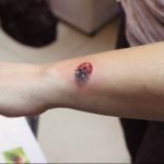 photo ladybug tattoo 17.04.2019 №029 - idea for ladybug tattoo - tattoovalue.net