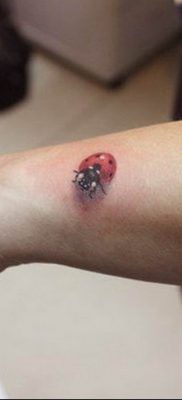 photo ladybug tattoo 17.04.2019 №029 – idea for ladybug tattoo – tattoovalue.net