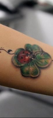 photo ladybug tattoo 17.04.2019 №030 – idea for ladybug tattoo – tattoovalue.net