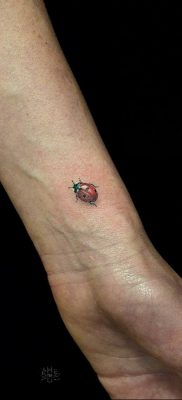 photo ladybug tattoo 17.04.2019 №031 – idea for ladybug tattoo – tattoovalue.net